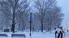 Winter storm blankets east coast in snow