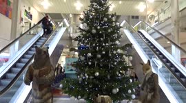 Chelsea and Westminster Hospital Christmas tree keeps bringing joy to staff and patients in the New Year