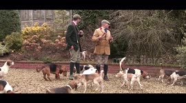 Joint meet with the Westerby Basset and Pipewell Foot Beagles