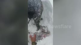 Rescuers save girl, 10, trapped in avalanche in northern India