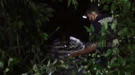 Eight students rescued after trapped on fast river when they saw Rafflesia Arnoldi flower in an Indonesian canyon