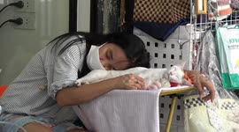 Cat nap! Tired street vendor and her pet kitty sleep with their heads rested on table together