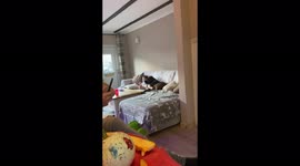 Toddler and dog sit lovingly together on the sofa. Dog rests head on toddler.