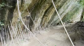 Mystery Buddhist temple found hidden in jungle cave in Thailand