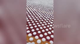 Hundreds of 'snow buns' line Chinese path in symmetrical pattern