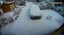 'Warren, Oregon: Anna’s Hummingbird intrigued by Ring doorbell camera '