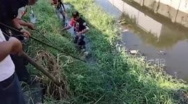 Stray dog stuck in canal rescued in Thailand