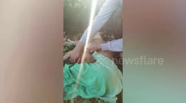 Bereaved puppy won’t leave its dead father’s side