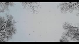 Warm weather creates snowfall from the sky in St Petersburg, Russia
