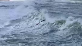 Big wave surfer in trouble, trying to get out but big waves suck him back in, Waimea bay big waves