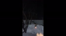 Terrifying moment Russian dog grabs lit firework and runs off
