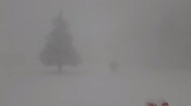 US: Whiteout Conditions As Lake Effect Snow Hits Central New York 4