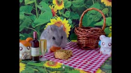 Adorable baby dwarf hamster enjoys her first picnic
