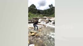 Stranded dog rescued from mountain stream after heavy rain in Thailand