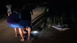 Huge 16ft python pulled from drain in village in Thailand