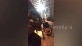 Adorable pet dog breaks into wide smile when owner takes selfie with him