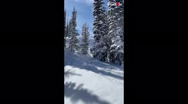 ''Pow Season is BACK!' Skier disappears into powdery snow following high-speed crash'
