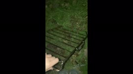 Mum shares genius chemical-free oven cleaning hack using GRASS