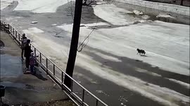 Dramatic moment Russian children rescue stray dog floating away on river ice