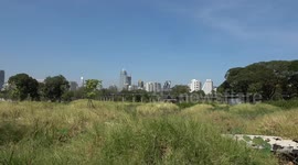 Green park in Bangkok undergoing major expansion into mini-forest