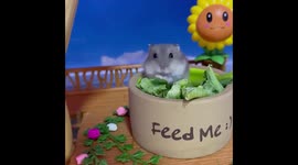 Adorable hamster enjoys veggie spread