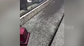Skin crawling moment thousands of flies invade store