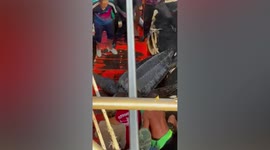 Fishermen save giant leatherback sea turtle stuck in net