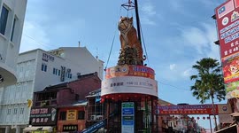 Giant tiger statue displays at Melaka Malaysia for incoming Lunar Year of Tiger 2022