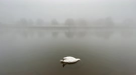 Mist covers River Trent in Nottingham as temperatures plunge