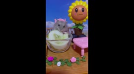 Adorable baby dwarf hamster enjoys cucumber slice