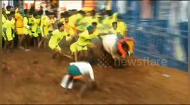 Bull tamers take on angry bulls in dangerous traditional sport in South India