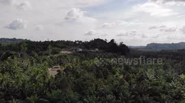 Aerial drone view of trees in southern Thailand
