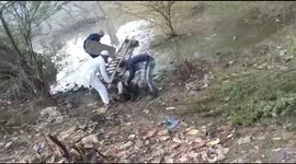 Rescuers haul cow from swamp in northern India