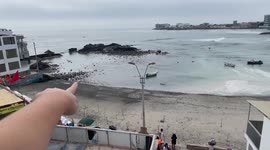 Peru: Evacuation after tsunami alert of Tonga underwater volcano eruption