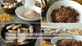 Best Foods For A No - Carb Diet |Everything About Zero Carb Diet With Pros & Cons