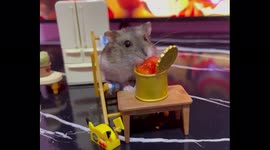 Watch this incredibly cute hamster enjoying TV dinner!