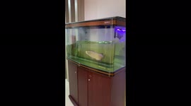 Magnitude 6.7 earthquake hits Indonesia as aquariums in buildings shake