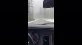 On the way to reno all highways closed and 395 was only open. Still a lot of snow and no way up to reno