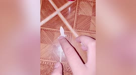 Thai woman revives lizard with CPR after its heart appeared to stop