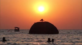 Beautiful sunset yoga session on a rock in the Ocean by romantic couple