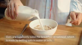Oatmeal Everyday |Amazing Health Benefits Of Oats - Nutrition
