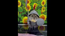 You can’t be threatened by this adorable hamster in knight armour