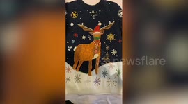 Bit deer! Artist selling world's most expensive Christmas jumper encrusted with diamonds