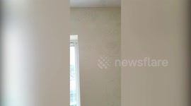 THE MOST MAGICAL PLACE AT HOME - Loving mum gets creative during lockdown and transforms daughter's room with incredible Disney mural wall that took over a year to complete