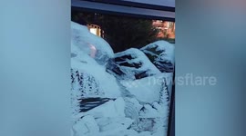 A creative woman has decorated her windows with a stunning winter snow scene - painted completely freehand