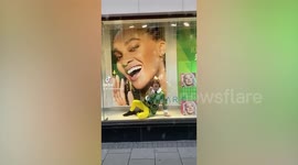 Primark manager spreads festive cheer as Elf in city of Bristol