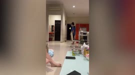 Dog has hilarious reaction when it sees pet bird flying