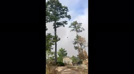 US: Wildfire Prompts Residents To Evacuate In Bastrop, TX