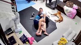 Jealous pet dog disturbs couple cuddling to get some attention
