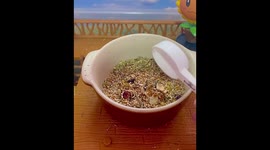 Dinner time for this adorable dwarf hamster family